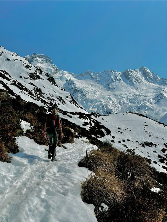 Conquering the Mueller Hut Track in Canterbury
