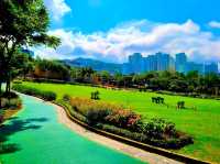 Green Escape in the City: Discovering Jordan Valley Park