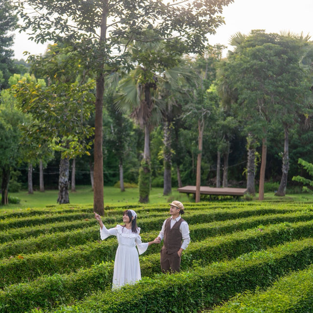 พักผ่อนฮีลใจที่เชียงใหม่ นอนรีสอร์ทสวย 🌳