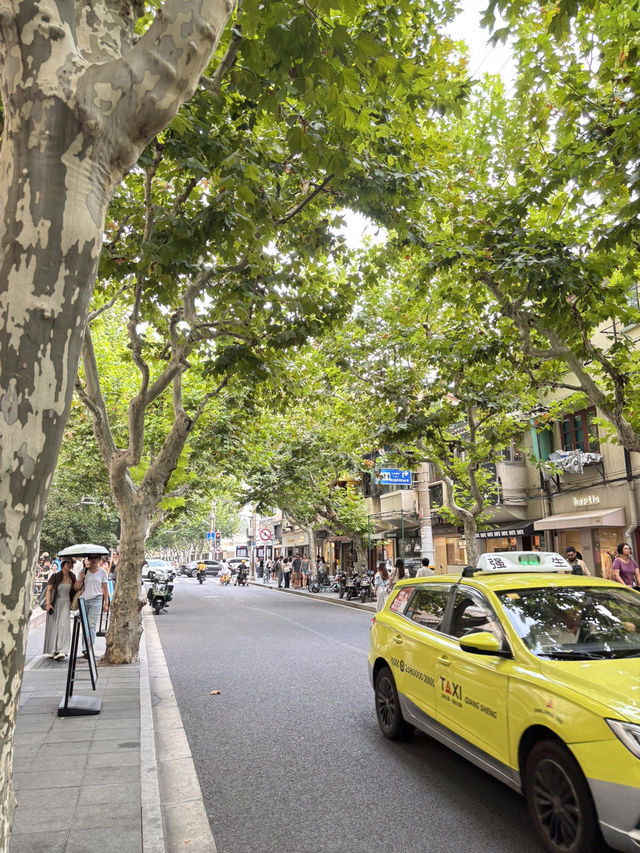 Sunflour Bakery & Café Anfu Road🥐🥨🥯