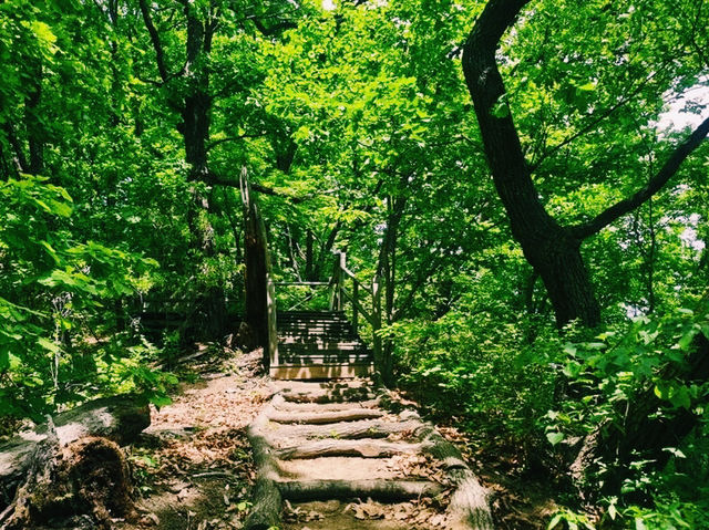 和睦森林公園🇨🇳