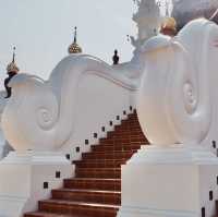 อุทยานหลวงราชพฤกษ์ จ.เชียงใหม่ คนรักดอกไม้ห้ามพลาด