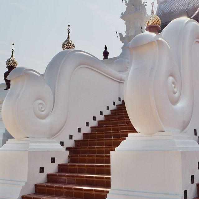 อุทยานหลวงราชพฤกษ์ จ.เชียงใหม่ คนรักดอกไม้ห้ามพลาด
