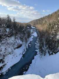 ❄️ 冬季必訪夢幻奇景｜北海道「白鬚瀑布」雪白仙境之旅