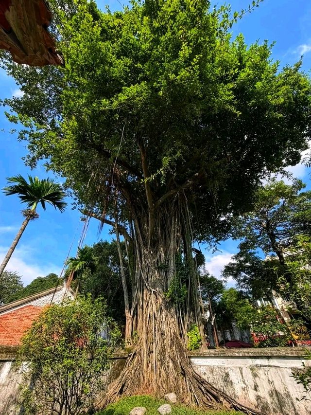 📜 “Temple of Literature – Vietnam’s First University & Timeless Treasure” 📜 “Temple of Literature – Vietnam’s First University & Timeless Treasure”