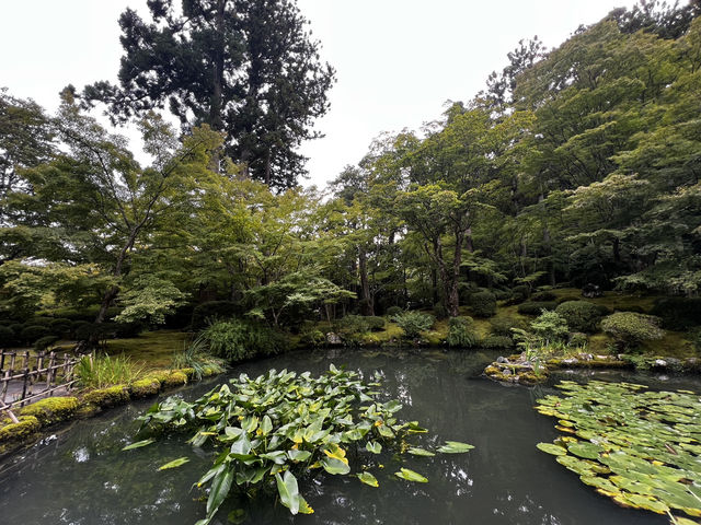 仙台・松島に行くべき5つの理由