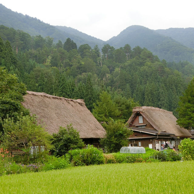 無人不曉的世界文化遺產一白川鄉合掌造