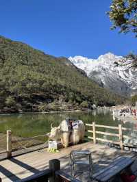 Blue Moon Valley : Turquoise Water & Snow Peaks!