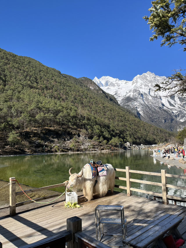 Blue Moon Valley : Turquoise Water & Snow Peaks!