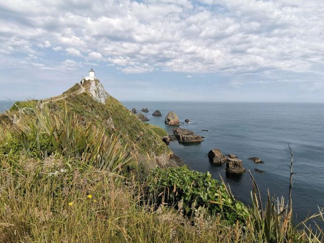 🇳🇿 New Zealand Road Trip - เล่าเรื่องด้วยภาพ#11