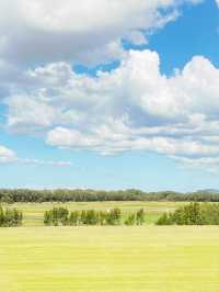 🌿 Brisbane's Hidden Gem: The Enchanting Meadow Under Endless Blue Skies! ☁️