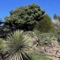 Royal Botanic Garden Edinburgh