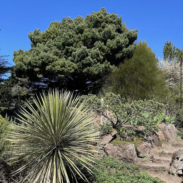 Royal Botanic Garden Edinburgh