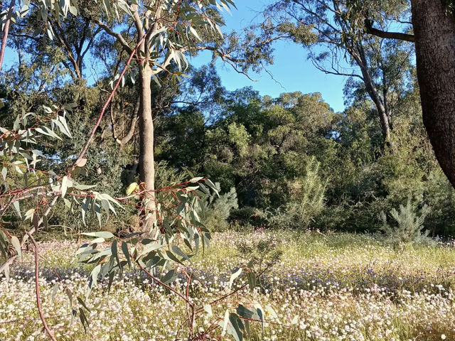 Kings Park and Botanic Garden