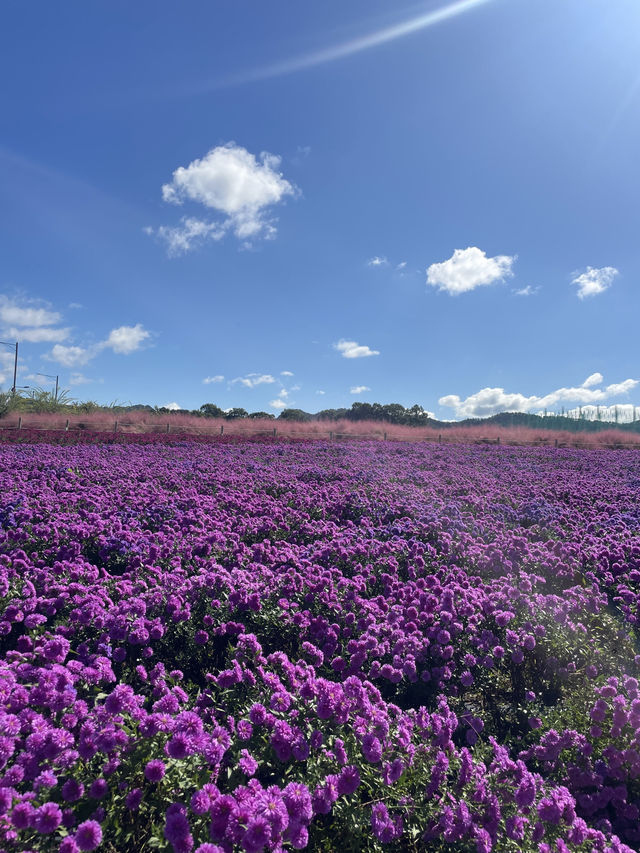 Best autumn escapes near Seoul-Nari Park in Yangju