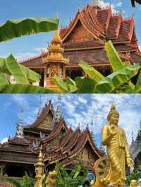 Sunny Xishuangbanna🌞