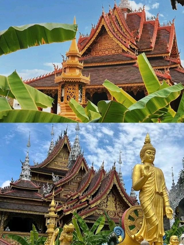 Sunny Xishuangbanna🌞