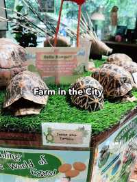 Farm In The City: An Interactive and Educational Wildlife Experience for Families 