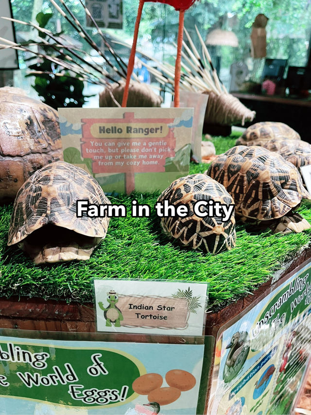 Farm In The City: An Interactive and Educational Wildlife Experience for Families 