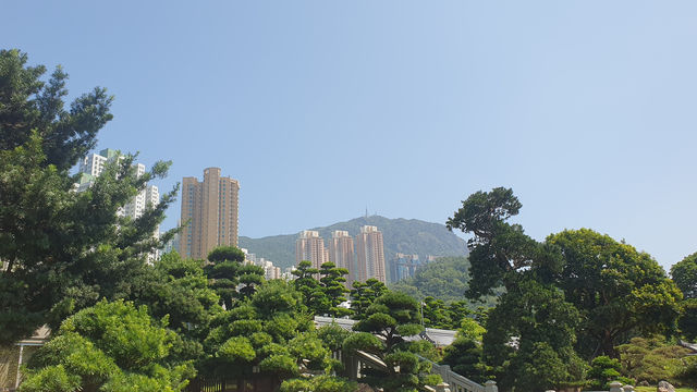 Nan Lian Garden, Hong Kong Nan Lian Garden, Hong Kong