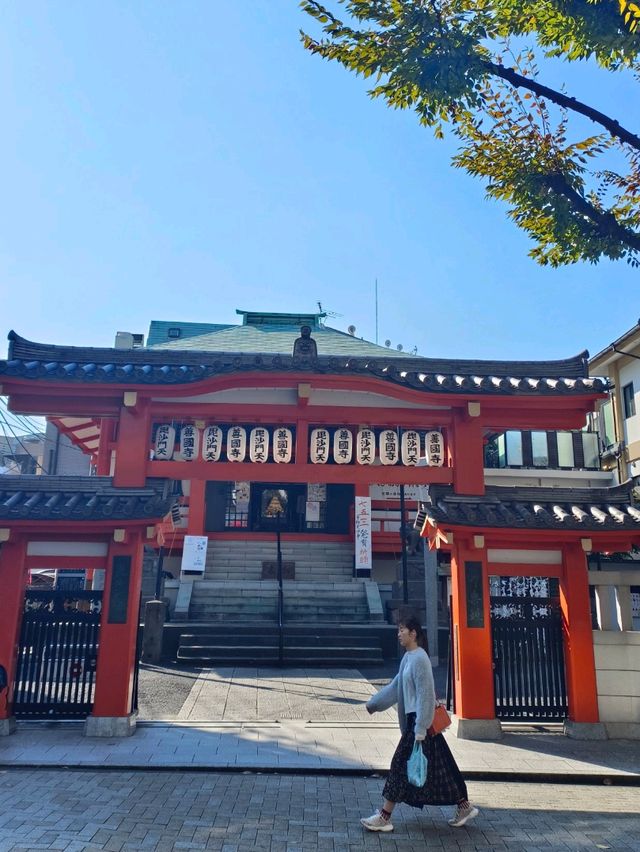 🍁 Scrolling Around Tokyo in Autumn 🇯🇵✨