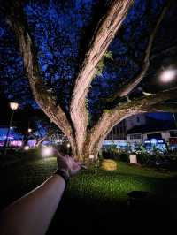 The Roots Bistronomy at Kuching Old Court: Sip, Chill & Unwind in Style