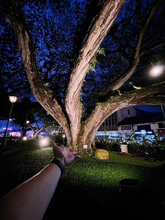 The Roots Bistronomy at Kuching Old Court: Sip, Chill & Unwind in Style
