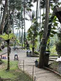 MUST TO TRY SWING IN BALI