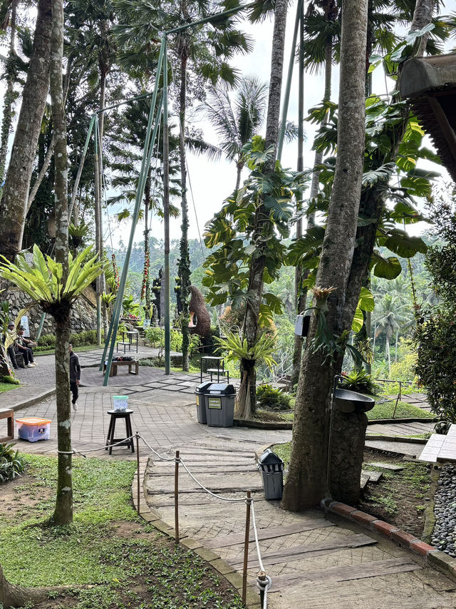 MUST TO TRY SWING IN BALI