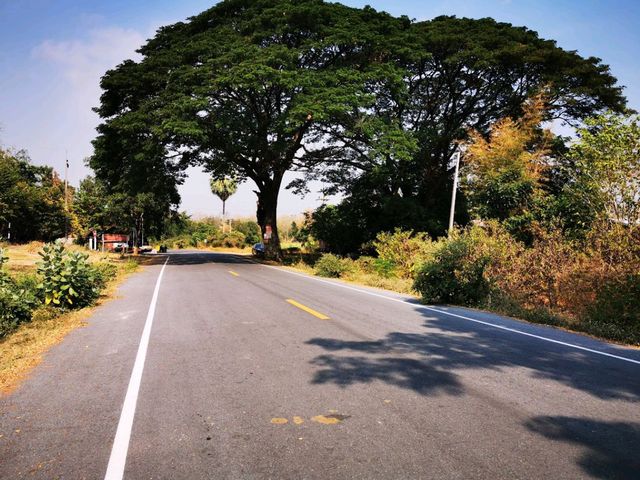 เมืองเก่าสุโขทัย ย้อนอดีตกับจักรยาน