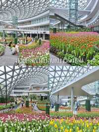 สวนดอกไม้เมืองหนาวระยอง