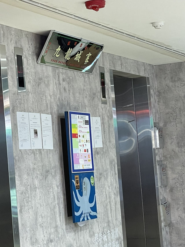 九龍城美式漢堡大閱兵🍔 九龍城美式漢堡大閱兵🍔