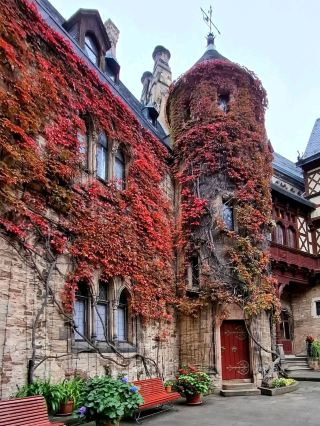 ความงามอันน่าหลงใหลของบ้านครึ่งไม้ครึ่งปูนในเวอร์นิเกอโรเดอ