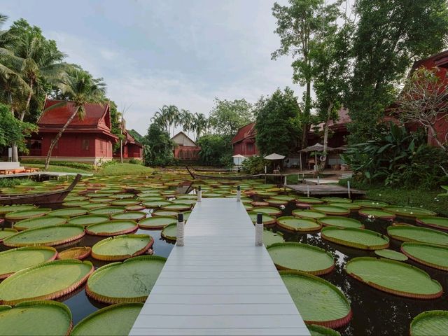 📸 Most Instagrammable Spots in Phuket 🌴✨