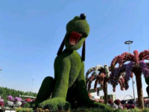 A Blooming Wonderland of Color and Creativity