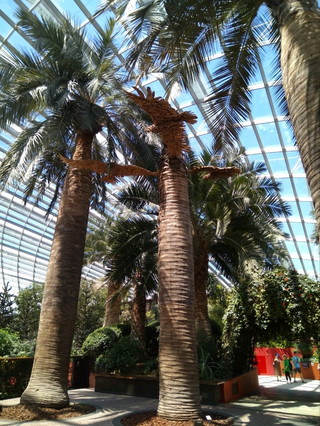 Flower Dome: A Global Floral Panorama