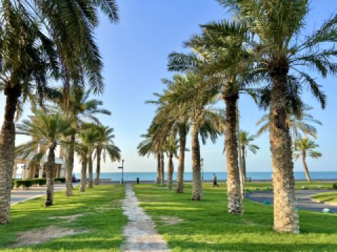 漫步科威特風景如畫的海邊🌊🌴