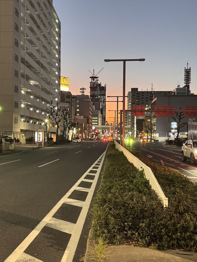 근교까지 알차게 돌아보는 나고야