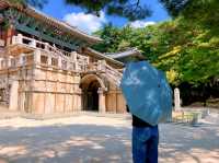 📍경주여행 1박2일 여행코스 완벽 정리!