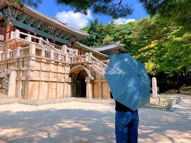 📍경주여행 1박2일 여행코스 완벽 정리! 📍경주여행 1박2일 여행코스 완벽 정리!