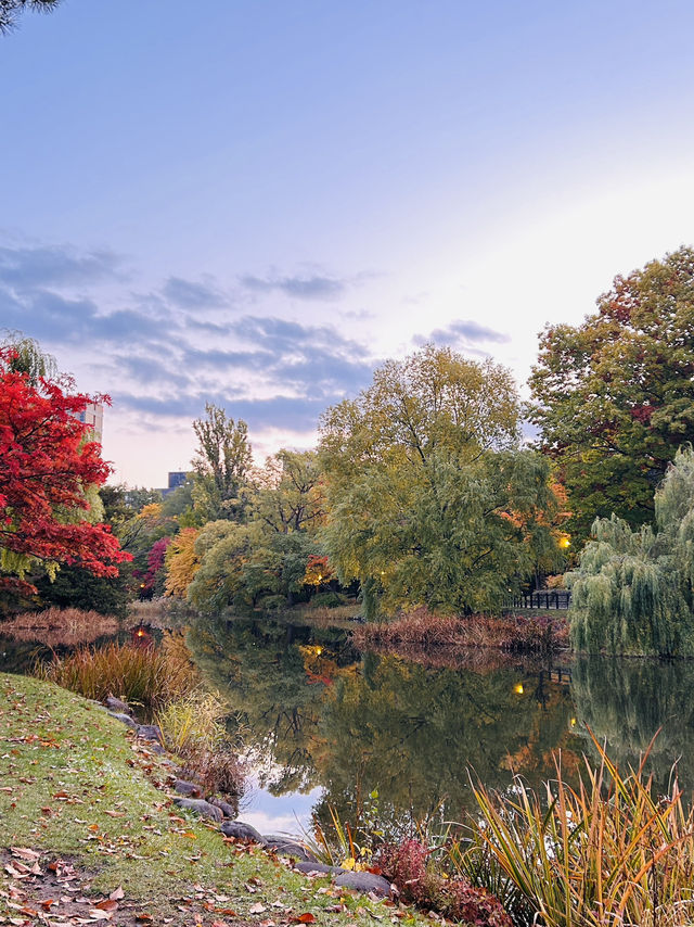 나카지마공원의 아침