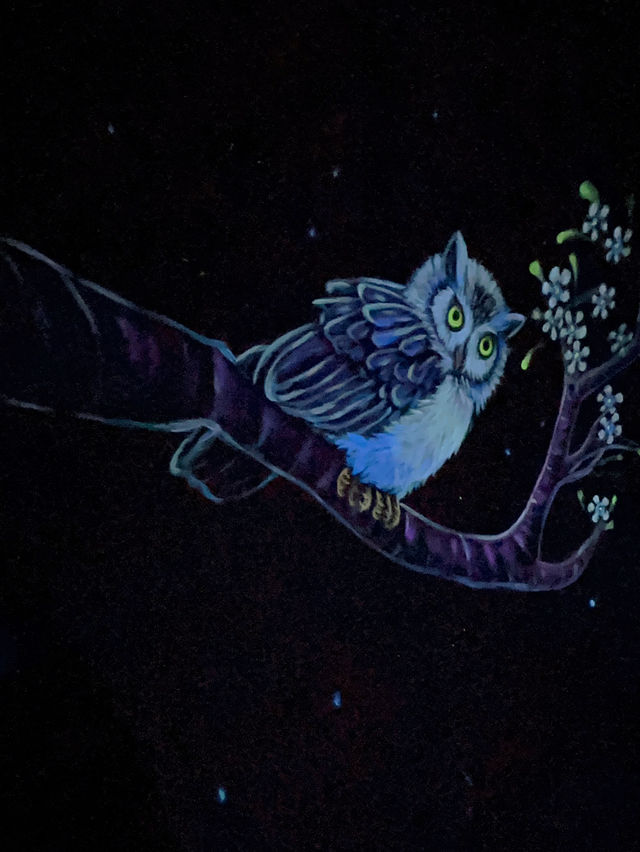 在南投，住進你專屬的宇宙 🪐