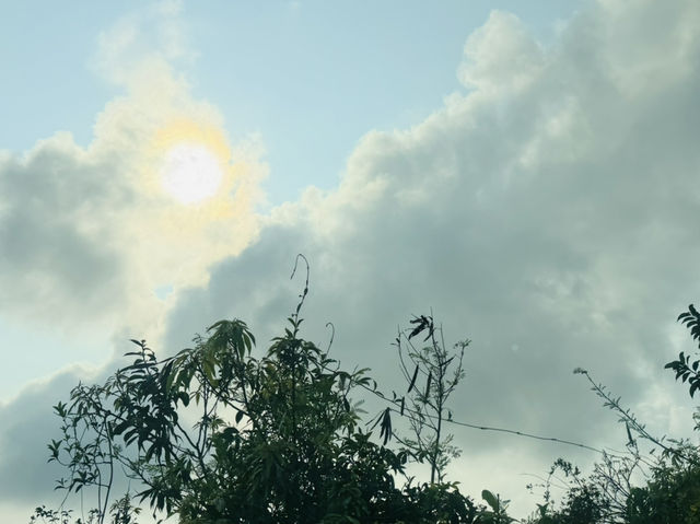 香港爬山：爬山初哥的最佳選擇