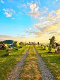 "ผาสามเส้าแคมป์" แม่แตง เชียงใหม่