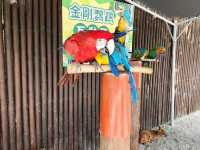 Spend a Wild Day at Yilan’s Lanyang Animal and Plant Kingdom 🦙✨