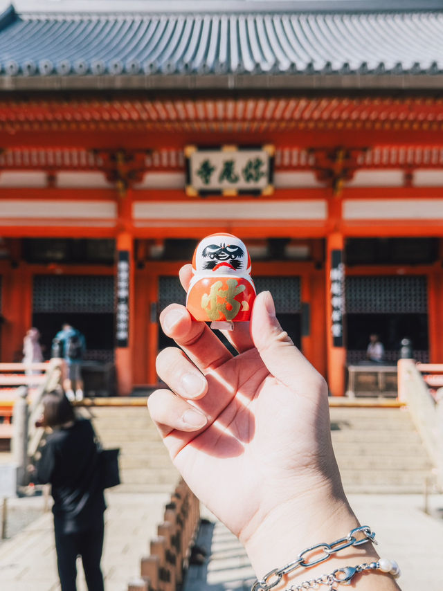 勝尾寺超級可愛滿山達摩! 勝尾寺超級可愛滿山達摩!