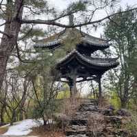 수원에서 볼 수 있는 광동식 전통 공원, 월화원