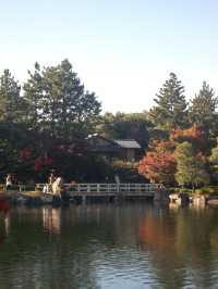 나고야의 단풍을 즐길 수 있는 정원