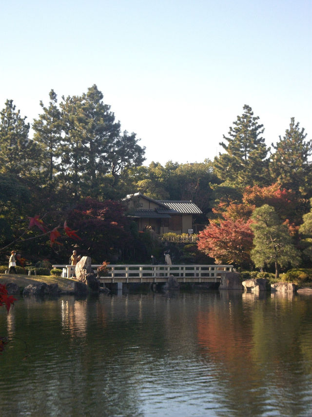 나고야의 단풍을 즐길 수 있는 정원
