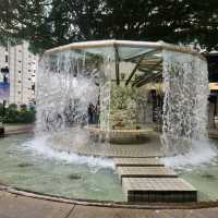 A Verdant Stage for Holiday Magic: Christmas in Hong Kong Park